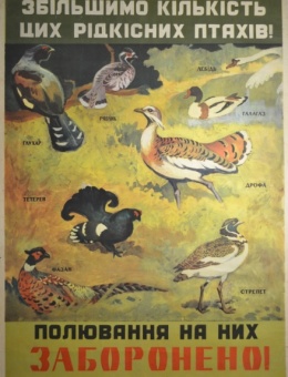 «Увеличим количество этих редких птиц. Охота на них запрещена !» 83х61 Укр. Товарищество охраны природы 1965г.