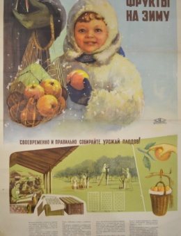 Рекламный плакат «Фрукты на зиму» художник С.Лапаев 88х60 трж. 15 000 Коопторгреклама центрсоюза