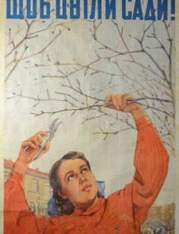 «Щоб цвіли сади!» художник Е.Котков 84х58 трж. 120 000 «Мистецтво» 1955г.