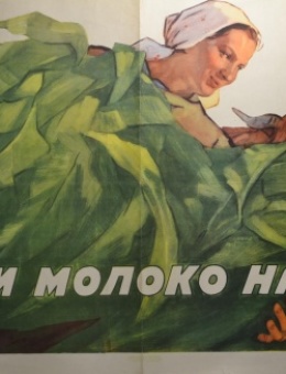«У корови молоко на язиці» художник Ф.Глущук 102х56 трж. 15 000 Киев 1957г.