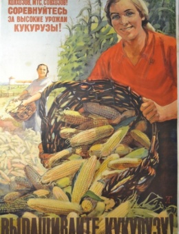 «Выращивайте кукурузу!» художник В.Тишкин 83х55 трж. 250 000 ИЗОГИЗ 1955г.